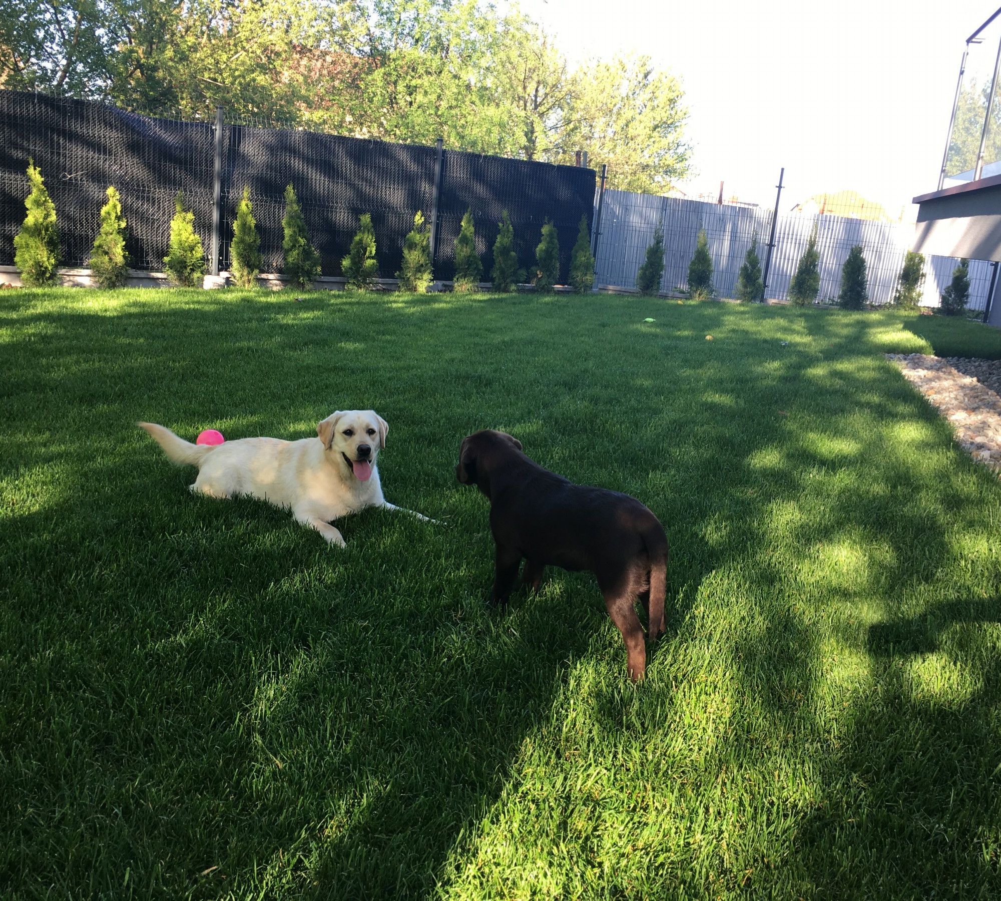 img12