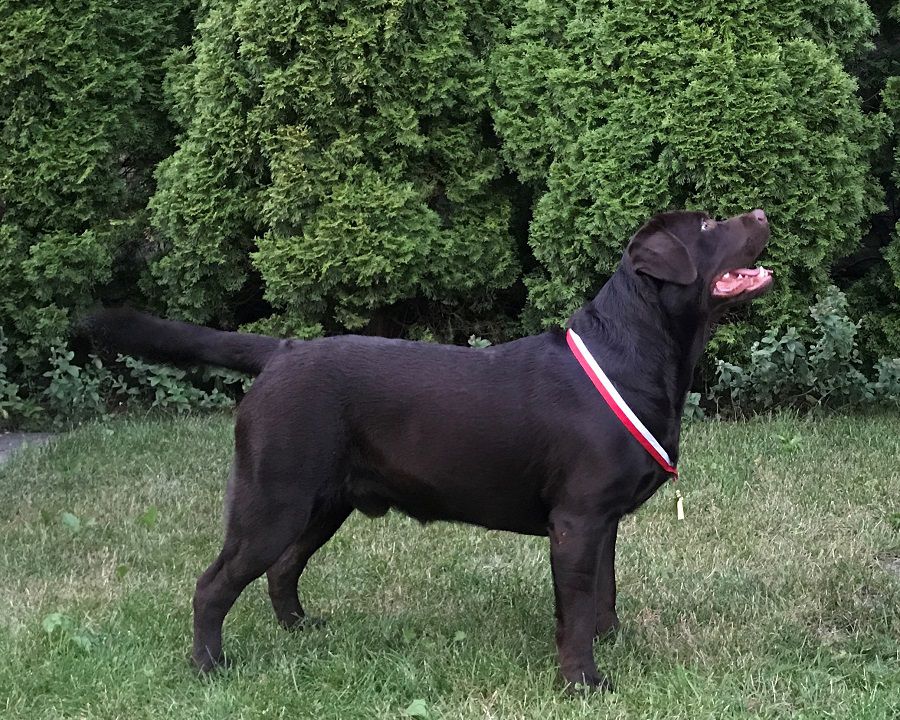 img12