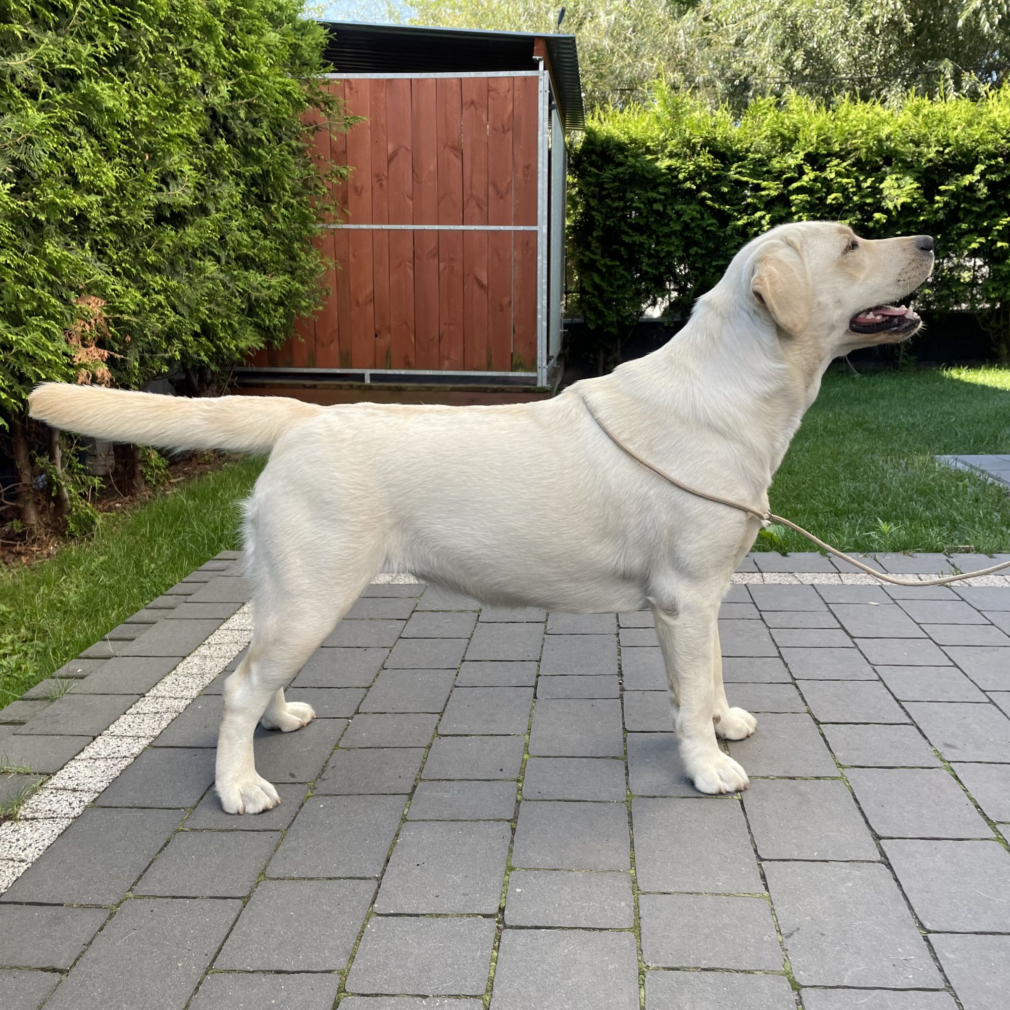 img12