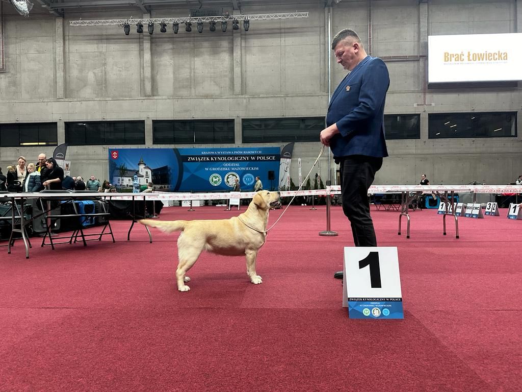img12