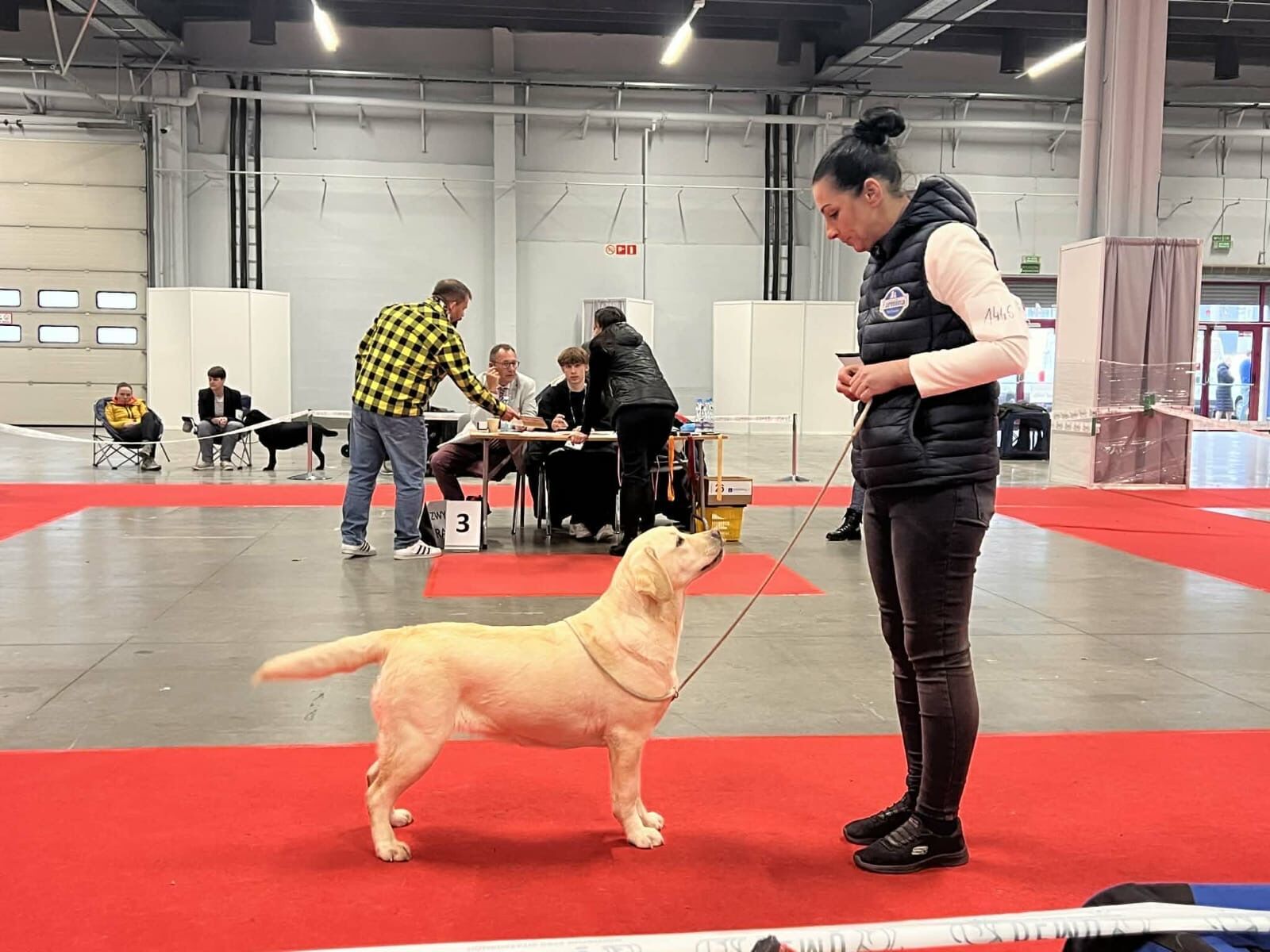 img12